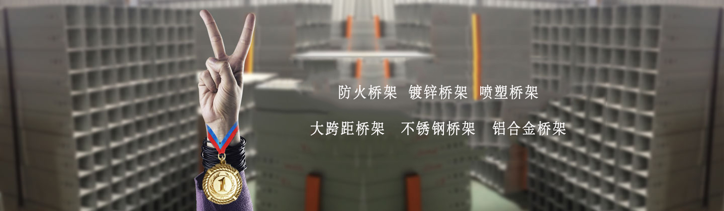 下次V型从徐水电费水电费徐徐速度防守打法水电费